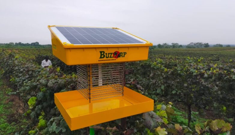 agricultural solar insect trap killer